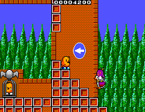 Newzealand Story on Master System